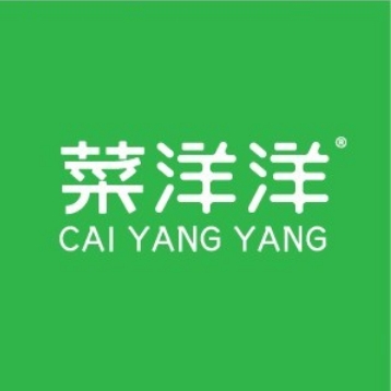 菜洋洋